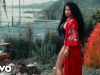 Nicki Minaj – Red Ruby Da Sleeze (Official Video)